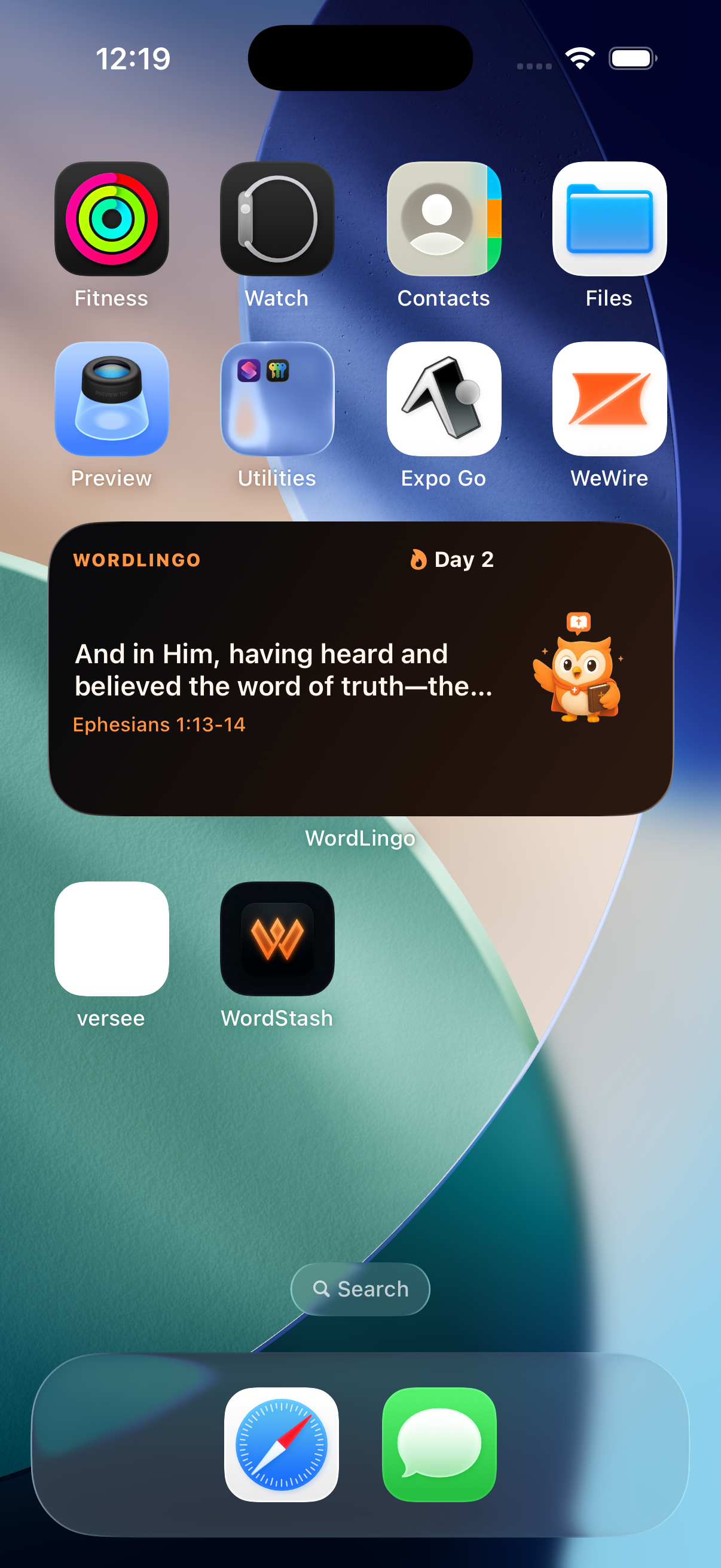 WordLingo screenshot 4